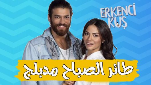 مسلسل طائر الصباح مدبلج الحلقة 72 الثانية والسبعون